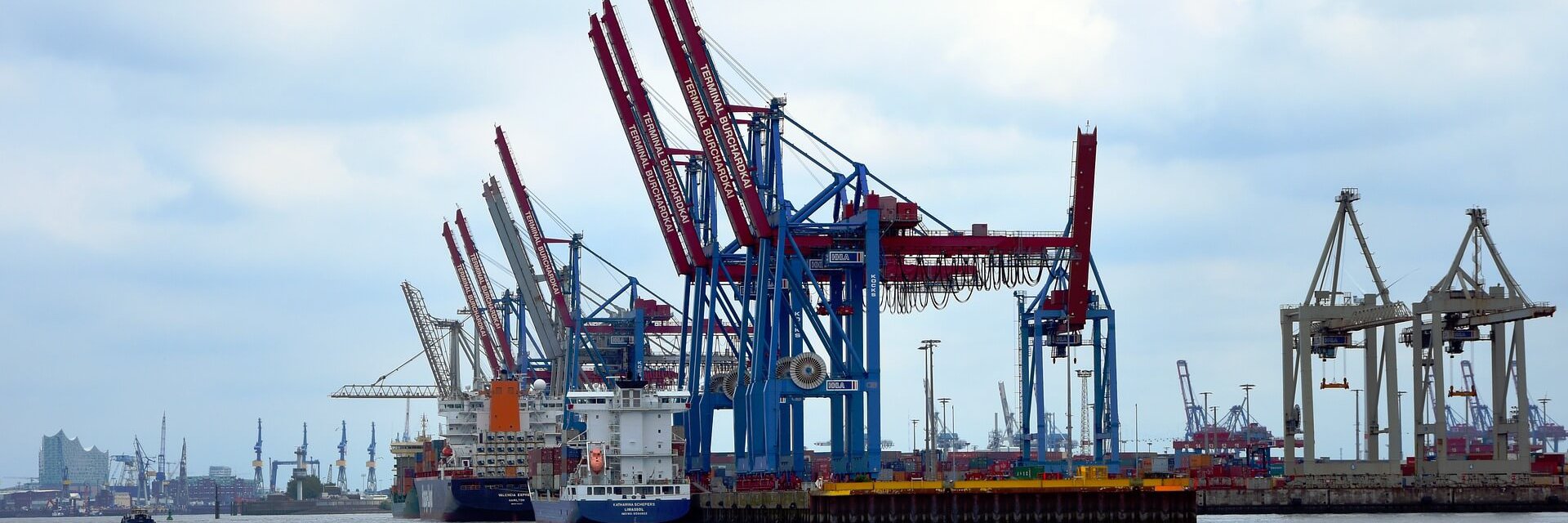 Krane im Hamburger Hafen